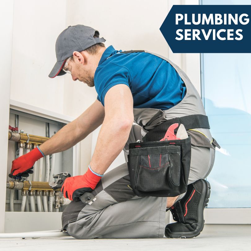 Bellevue Plumbing Company